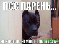 getImage (1).jpg