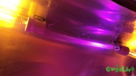 DSC03177.JPG