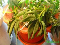 2013-12-12 17-43-48.jpg