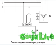 регулятор скорости.png