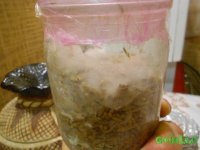 DSCN3175.JPG DSCN3175.JPG