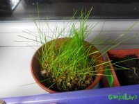 DSCN3178.JPG DSCN3178.JPG