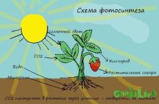 готовая картиночка.jpg