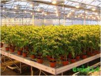 горизонтальное свещение.jpg