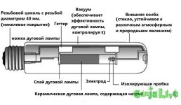 Лампа днат внутри.jpg