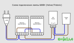 двойной прас трехконтактын изу схема.png