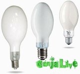 ртутные лампы.jpg