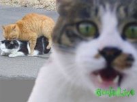 201308081914464178.jpg