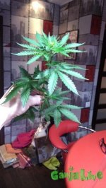 IMAG0098.jpg