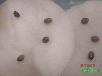 IMG_6539.JPG