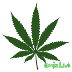 420_basic_leaf_preview.png