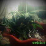 2015-01-07 17-27-54.jpg