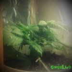 2015-01-07 17-28-08.jpg