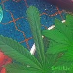 2015-01-08 11-26-58.jpg