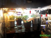 2013-12-12 17-53-24.jpg