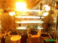 2013-12-13 20-33-08.jpg