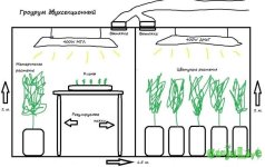 grow-room-design-6.jpg