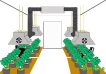 grow-room-design-9.jpg