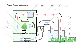schemas-logia-500x300px.png