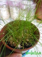 DSCN3189.JPG DSCN3189.JPG