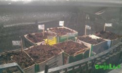 IMAG0657.jpg
