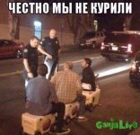 4745340.jpg