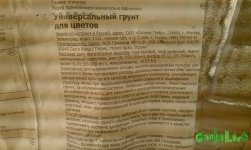 IMAG0774.jpg