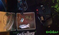 IMAG0739.jpg
