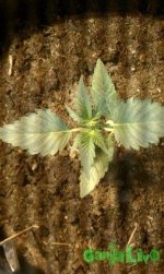 IMAG0709.jpg
