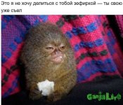 fh-BRbnSNoA.jpg
