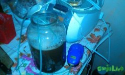 IMAG0795.jpg IMAG0795.jpg