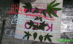 IMAG0835.jpg