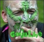 скачанные файлы.jpg