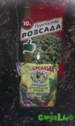 IMAG0183.jpg