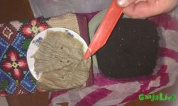 IMAG0184.jpg