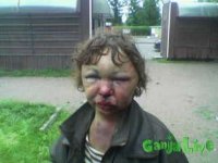 genskialkogol.jpg