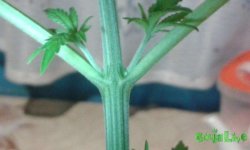 20150213_201836.jpg