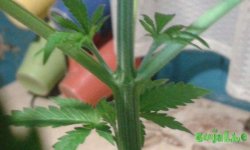 20150213_201941.jpg