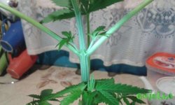 20150213_201811.jpg