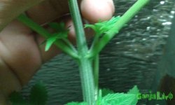 20150213_201335.jpg