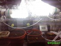 CAM001741.jpg
