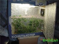Micro-growbox18.jpg