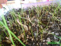 DSCN3206.JPG DSCN3206.JPG