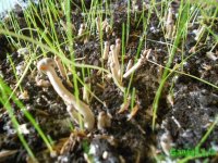 DSCN3210.JPG DSCN3210.JPG