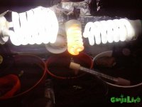 CAM001801.jpg