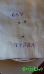 IMAG0216.jpg