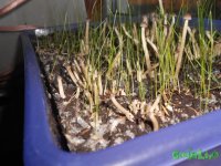 DSCN3220.JPG DSCN3220.JPG