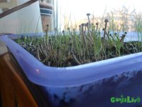 DSCN3221.JPG DSCN3221.JPG