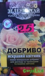 IMAG0218.jpg
