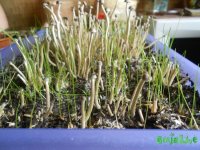 DSCN3224.JPG DSCN3224.JPG